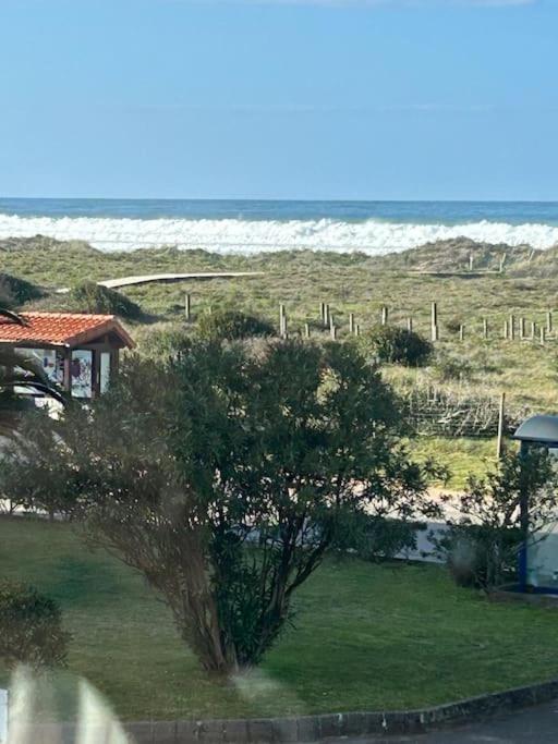Playa De Berria -Apartamento Con Piscina Y Vistas Al Mar Santona Bagian luar foto